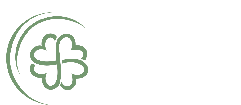 TEAM Career Solutions